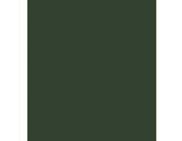 verde musgo