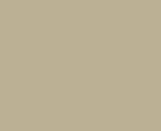 (003) VISON